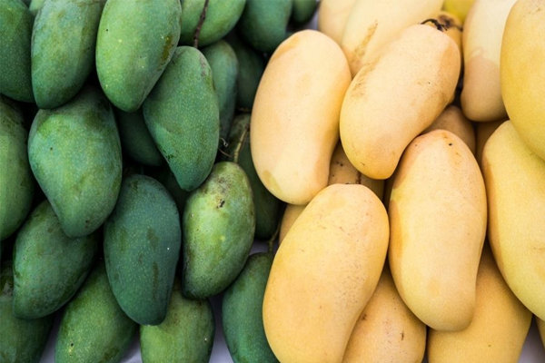 Использование одноразового регистратора температуры с ЖК-дисплеем сделает транспортировку манго более безопасной.